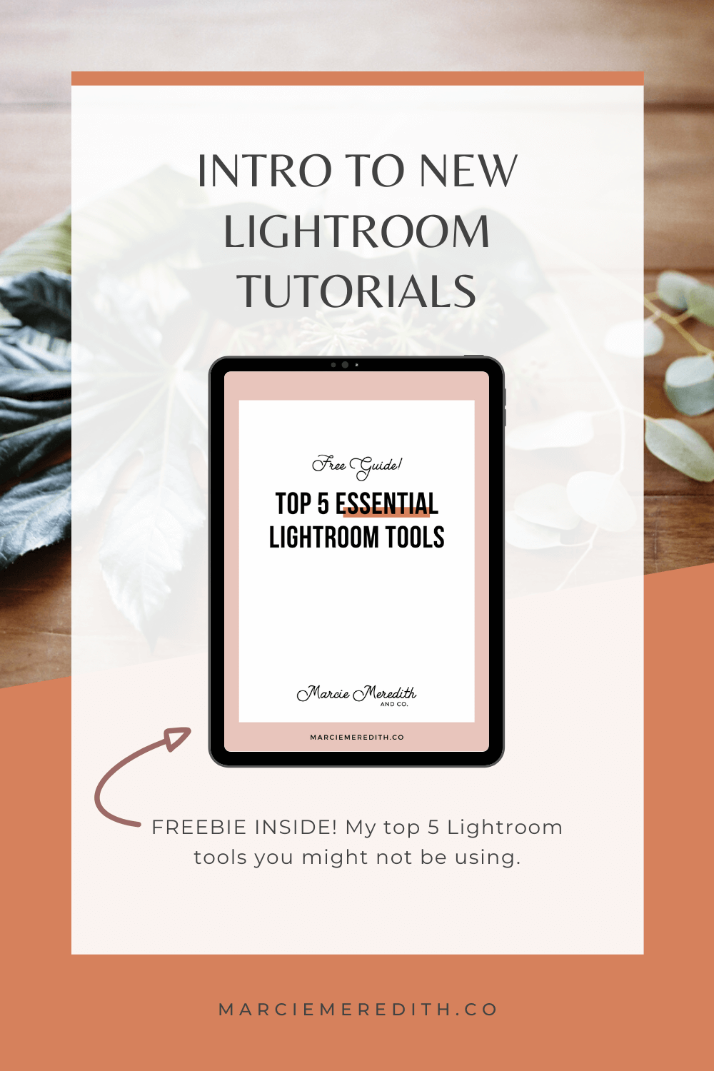 lightroom tutorials